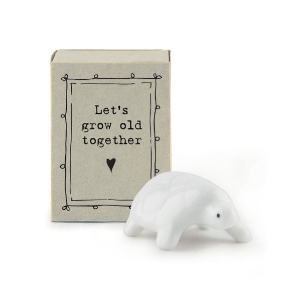 East of India | Matchbox Tortoise - Lets Grow Old Together