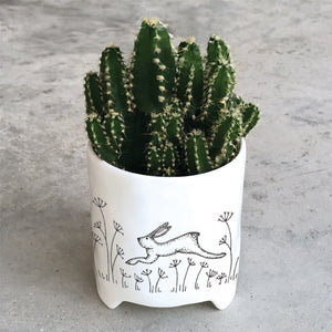 East Of India | Planter - Hare