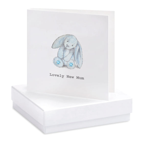 Crumble & Core | Boxed New Mum Earring Card - Blue