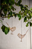 Lightstyle London | Hanging Robin - Copper