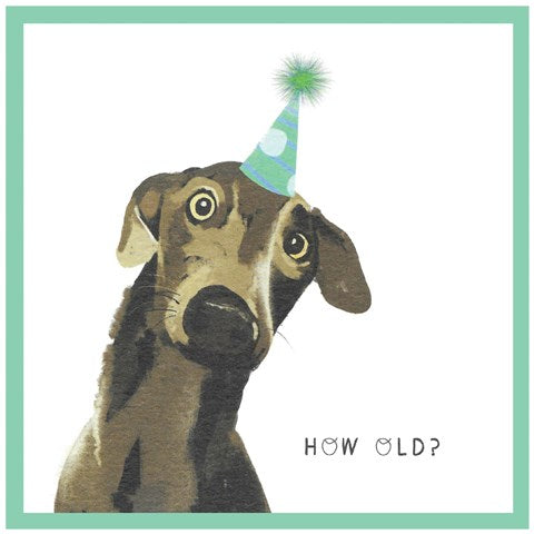 Cinnamon Aitch | 'How Old?' Birthday Card